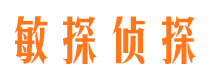 九龙市侦探公司